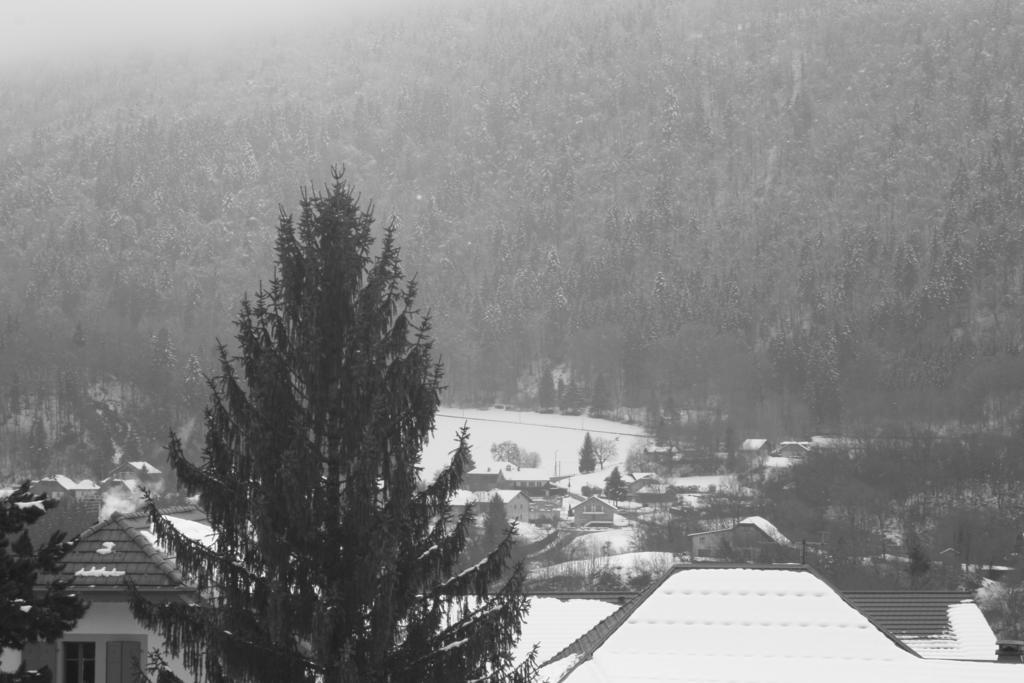 Accueil Savoyard Hotel Mieussy Cameră foto